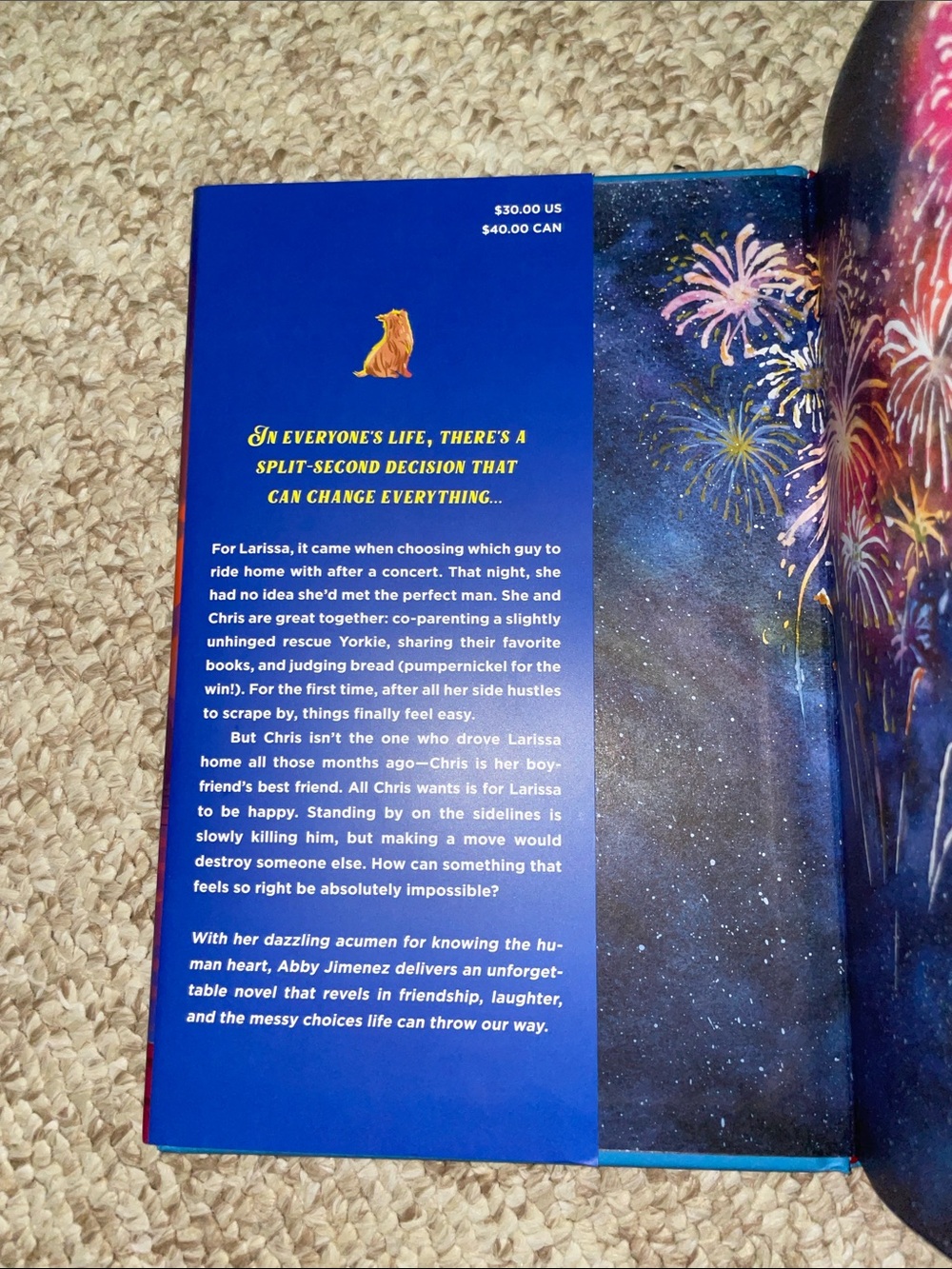The Night We Met by Abby Jimenez - Picture 3 of 7